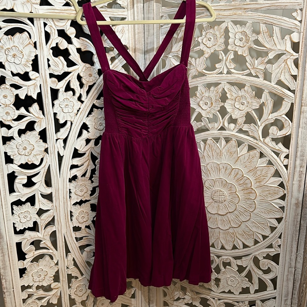 HD in Paris Raspberry Velour Smocked Ruched Dress Urban Outfitters Speak Now